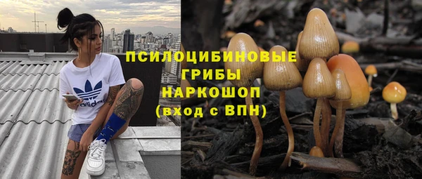 apvp Куйбышев