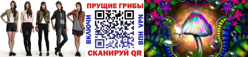 Галлюциногенные грибы Psilocybe  Абакан 