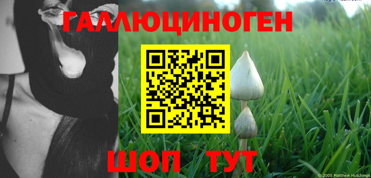 Галлюциногенные грибы Psilocybe  Вход с VPN  Псилоцибиновые грибы ЛСД  Абакан 